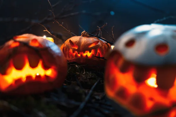 Calabazas de Halloween en un bosque espeluznante por la noche —  Fotos de Stock