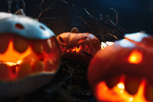 夜の不気味な森のハロウィンかぼちゃ — ストック写真