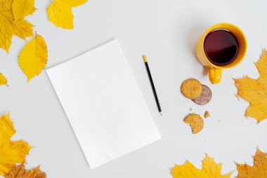 Sonbahar kompozisyon düz yatıyordu. Rahat sonbahar ve rahat sonbahar, yaşam kavramı.