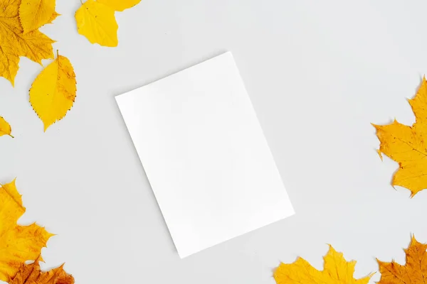 Composición otoñal plana laica. Cómodo otoño y acogedor otoño, concepto de estilo de vida . —  Fotos de Stock