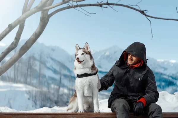 Man och söt Siberian Husky hunden som sitter på bänken högt i bergen. — Stockfoto