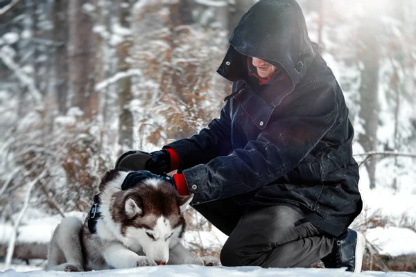 Ο άνθρωπος και χαριτωμένα Χάσκυ Σιβηρίας σκυλί στο δάσος στην ηλιόλουστη χειμωνιάτικη ημέρα. — Φωτογραφία Αρχείου