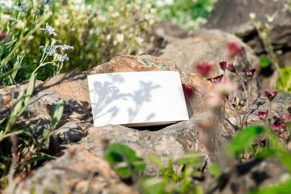 Tarjeta de visita blanca en blanco sobre fondo de flores. Hermoso y paisaje . —  Fotos de Stock