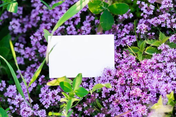 White blank business card on flowers background. Beautiful and landscape.