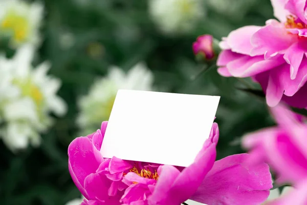 White blank business card on flowers background. Beautiful and fresh landscape,