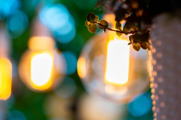 Glühbirne und Hängepflanze abends im Garten. gemütlicher und komfortabler Ort. — Stockfoto