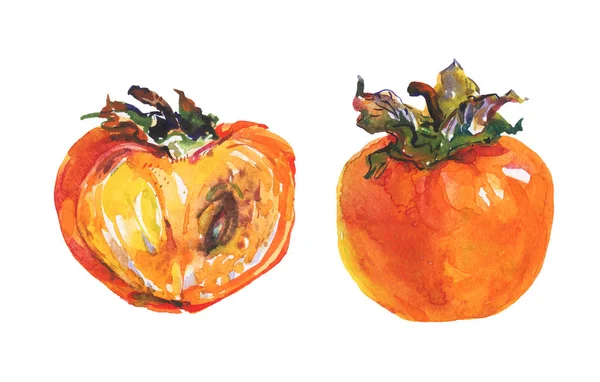 Handritad Mogna Och Hela Persimoner Akvarell Färsk Frukt Vit Bakgrund — Stockfoto