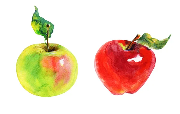 Hand Getrokken Rode Groene Appels Aquarel Vers Fruit Witte Achtergrond — Stockfoto