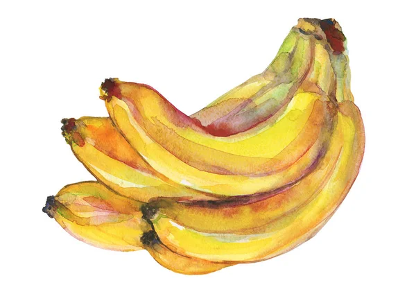 Ręcznie Rysowane Banana Akwarela Świeże Owoce Białym Tle Ilustracja Białym — Zdjęcie stockowe