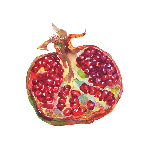 Hand Dras Mogen Granatäpple Akvarell Färsk Frukt Vit Bakgrund Målning — Stockfoto