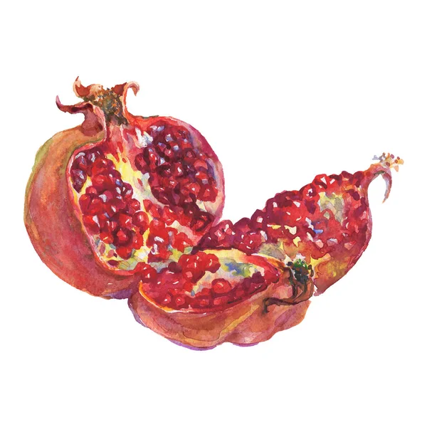 Hand Dras Mogen Granatäpple Akvarell Färsk Frukt Vit Bakgrund Målning — Stockfoto