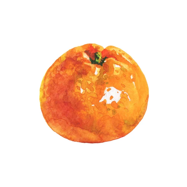 Handen Ritade Orange Mandarin Tangerin Akvarell Färska Citrusfrukter Vit Bakgrund — Stockfoto