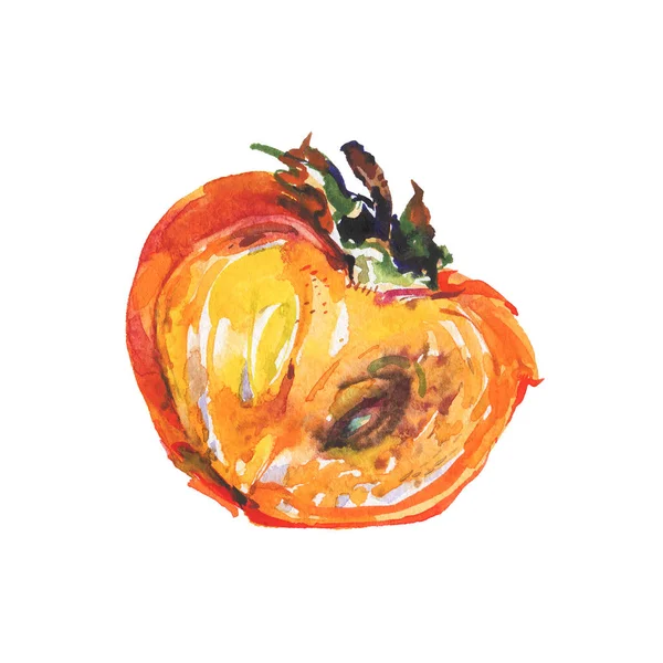 Hand Dras Hälften Persimon Akvarell Färsk Mogen Frukt Vit Bakgrund — Stockfoto