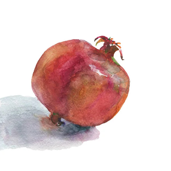 Hand Getekende Granaatappel Aquarel Vers Fruit Witte Achtergrond Schilderij Geïsoleerd — Stockfoto