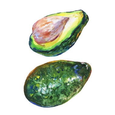 Olgun, dilim ve bütün çizilmiş suluboya set el avokado. Beyaz arka plan üzerinde boyama sebze