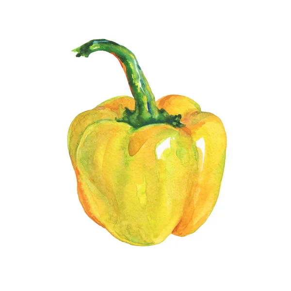 Akvarell Gul Paprika Vit Bakgrund Hand Dras Vegetabiliska Illustration Målning — Stockfoto