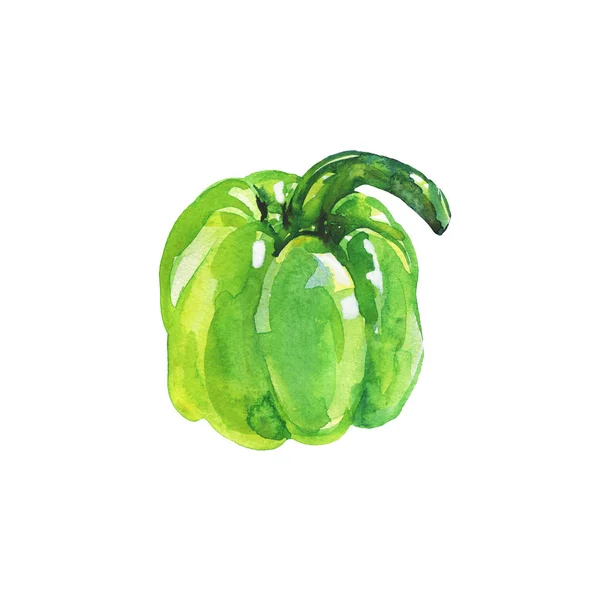 Aquarel Groene Paprika Witte Achtergrond Hand Getekend Plantaardige Illustratie Schilderij — Stockfoto