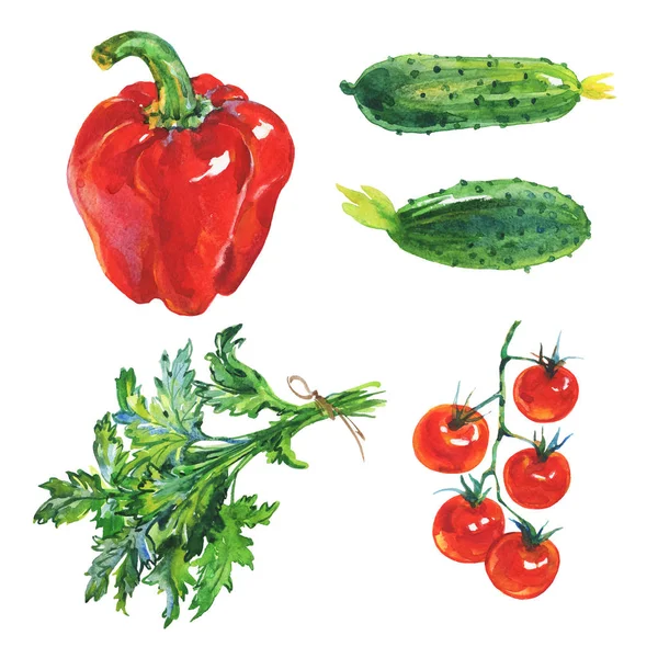 Акварельний Набір Свіжих Овочів Зелені Білому Тлі Рука Намальована Червоною — стокове фото