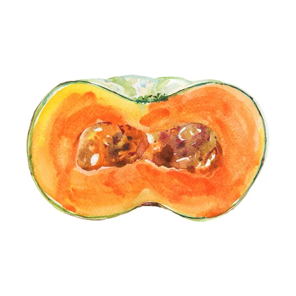 Pintura Acuarela Calabaza Madura Sobre Fondo Blanco Ilustración Vegetal Dibujada — Foto de Stock