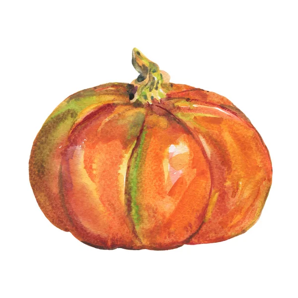 Akvarell Målning Hela Pumpa Vit Bakgrund Hand Dras Vegetabiliska Illustration — Stockfoto