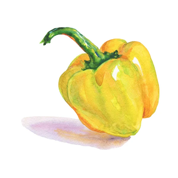 Akvarell Gul Paprika Vit Bakgrund Hand Dras Vegetabiliska Illustration Målning — Stockfoto