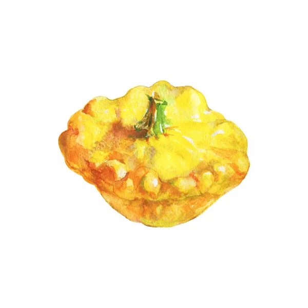 Akvarell gul squash — Stockfoto