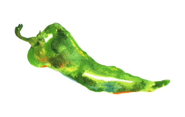 Akwarela zielonym pieprzem — Zdjęcie stockowe