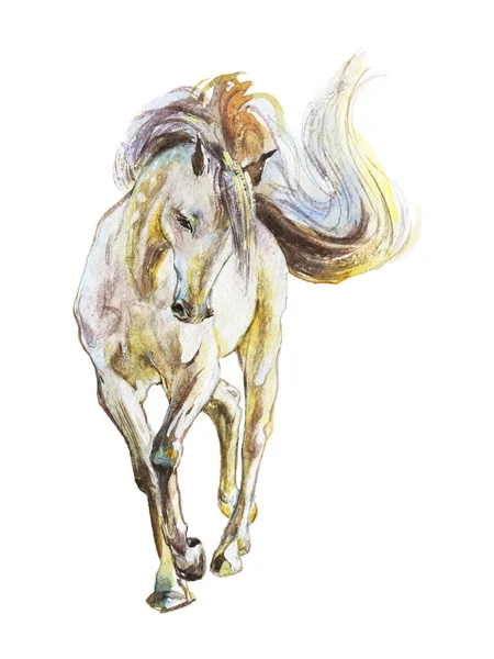 Aquarel wit paard — Stockfoto