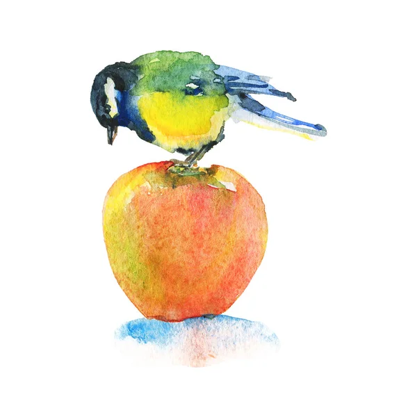 Akvarell MES och äpple — Stockfoto