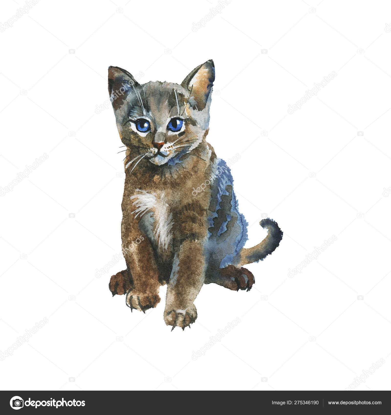 Watercolor Grey Fluffy Kitten Hand Drawn Russian Blue Cat White Stock Photo C Cincinart 275346190