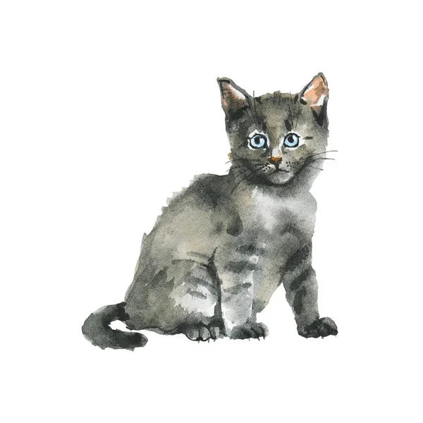 Watercolor Grey Fluffy Kitten Hand Drawn Russian Blue Cat Painting — Stock Photo, Image