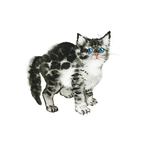 Watercolor Grey Fluffy Kitten Hand Drawn British Shorthair Cat White — Stock Photo, Image