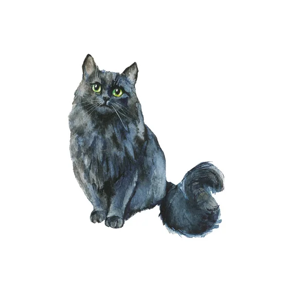 Watercolor grey cat. Hand drawn sitting fluffy pet on white background. Painting animal illustration