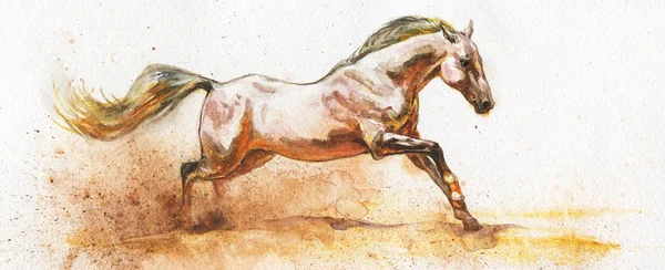 Aquarel Witte Paard Loopt Galopperen Hand Getekende Mooie Arabische Mustang — Stockfoto