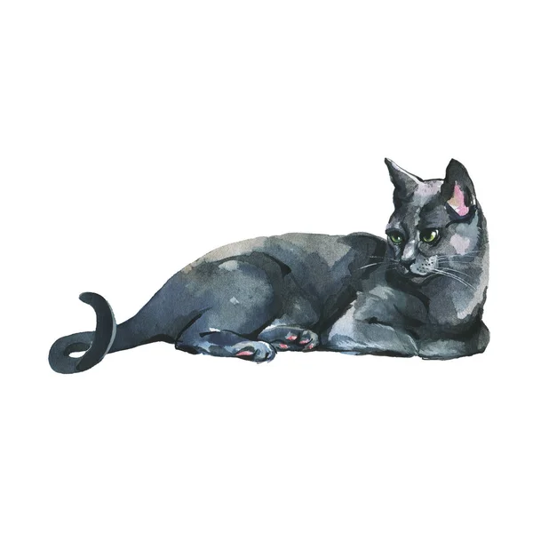 Hand drawn pet portrait. Watercolor russian blue cat on white background. Painting animal illustration