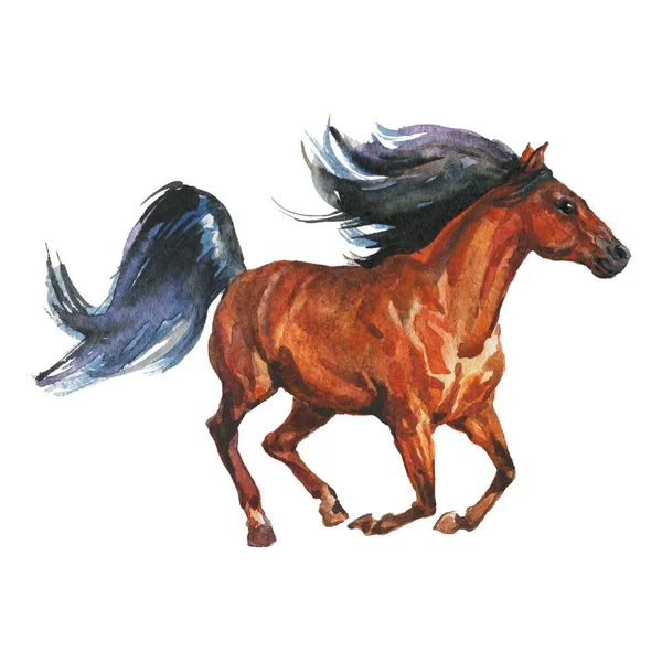 Watercolor Brown Horse Runs Galloping Hand Drawn Beautiful Arabian Mustang — Stock Photo, Image