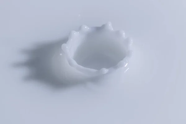 Splashing Milk Isolated White Background — Stock Photo, Image