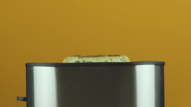 Voorbereiding ontbijt toast van graan brood geroosterd in een broodrooster eerste rauw en vervolgens klaar segmenten gezonde levensstijl geschoten op een gekleurde oranje achtergrond — Stockvideo