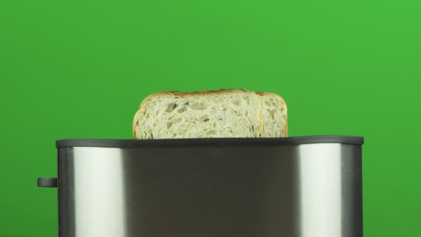 Preparação de torrada de café da manhã de pão de grão assado em uma torradeira primeiro cru e, em seguida, fatias prontas estilo de vida saudável tiro em um fundo cromado verde colorido pronto para keying — Vídeo de Stock