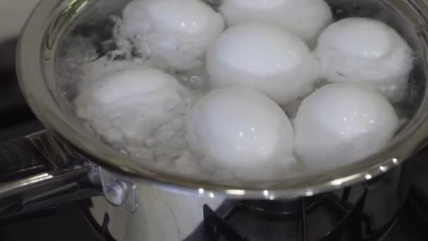 부엌에서 스테인리스 냄비에 계란을 끓는 — 비디오