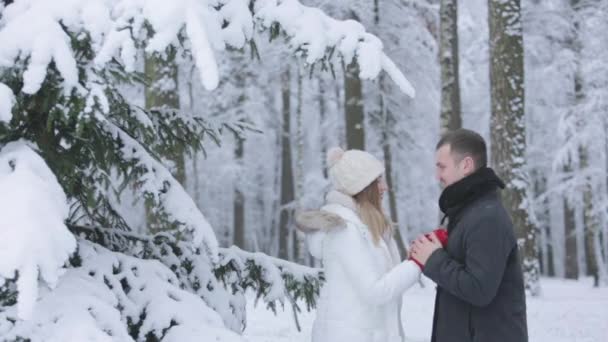 Par skrattar efter snö faller på dem på datum i vinter skog — Stockvideo