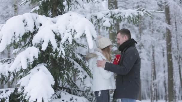 Снег падает на влюбленную пару в зимнем лесу — стоковое видео