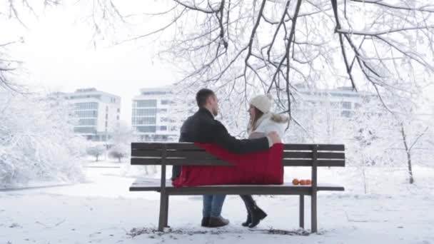 Pareja joven en la cita en el parque de invierno sentados en el banco hablando entre sí — Vídeos de Stock