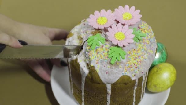 Chica corta un pedazo de pastel de Pascua — Vídeo de stock