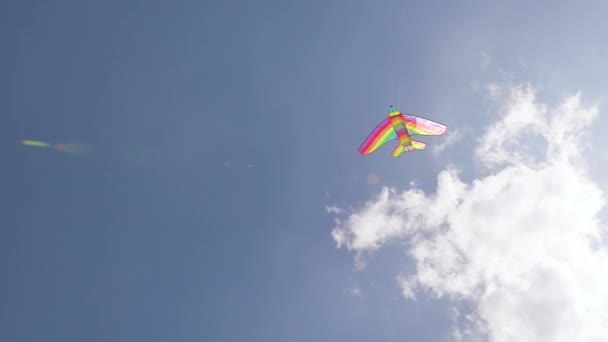 Papagaio voando no vento céu de verão em câmera lenta — Vídeo de Stock