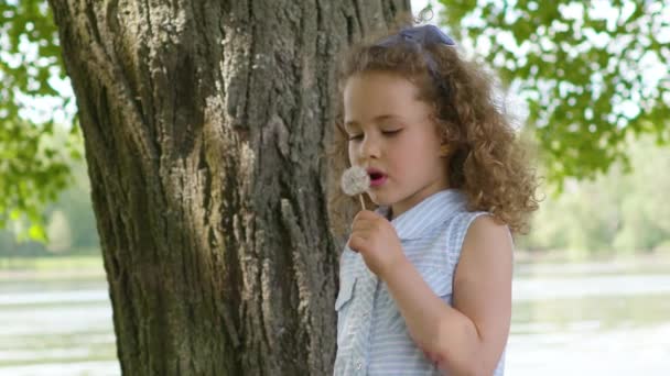 Fille heureuse bouclée soufflant le pissenlit au ralenti au ralenti 