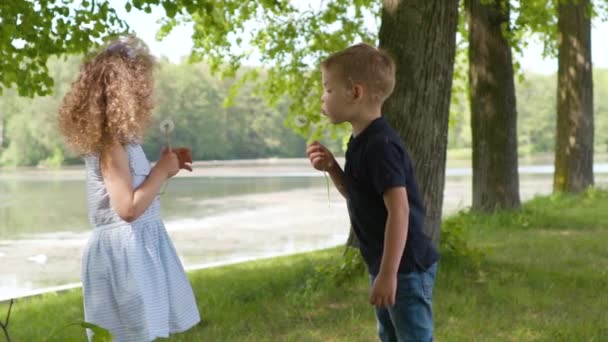 Дети брат и сестра дуют одуванчик в замедленной съемке со смешными эмоциями в замедленной съемке — стоковое видео