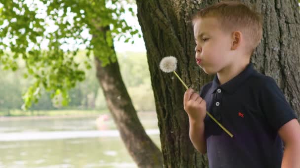 Petit garçon essayer de souffler pissenlit au ralenti dans le parc d'été 