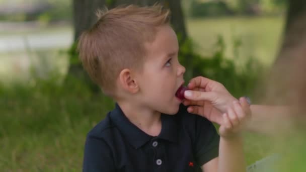 少年は、スローモーションで家族のピクニックに mom によって与えられる果実を食べる — ストック動画