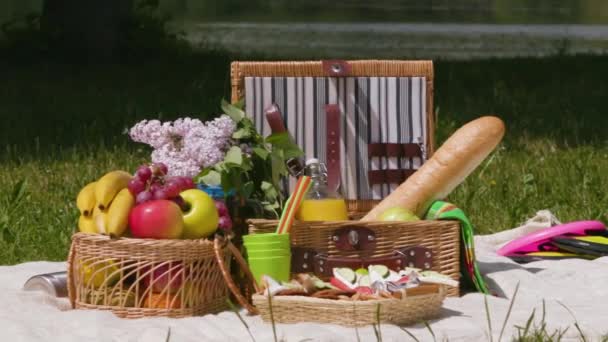 Cesta de picnic en verano en un prado soleado en el parque en cámara lenta — Vídeos de Stock